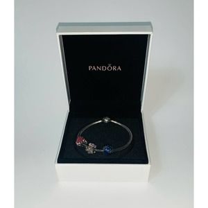 Pandora Charm Bracelet